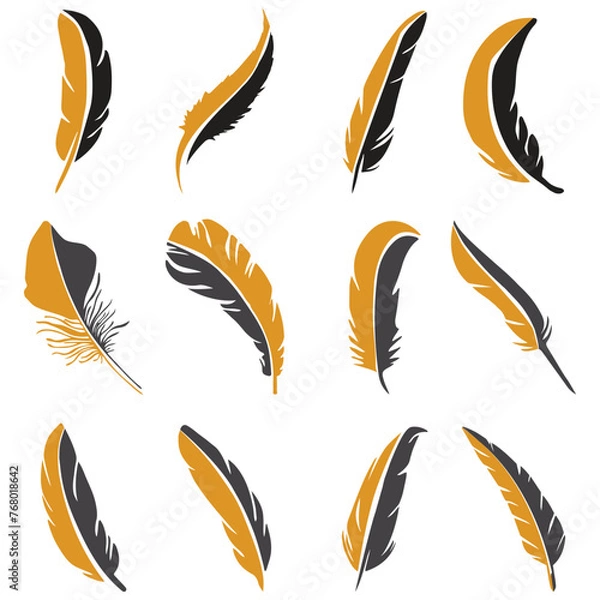 Obraz feathers