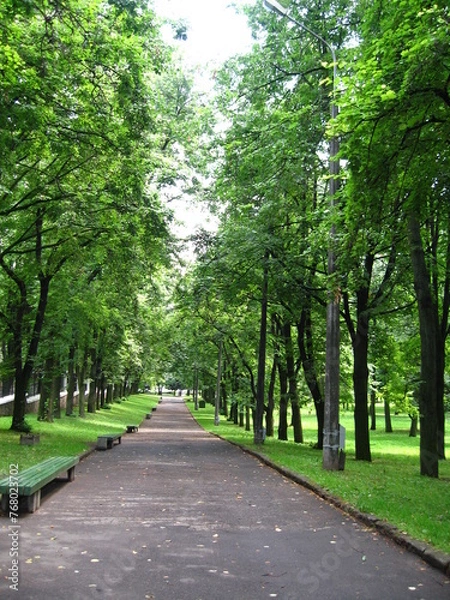 Obraz 여름 공원 풍경 숲 잔디 나무 벤치 녹색 시원한 그늘