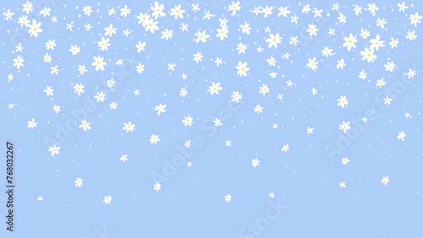 Obraz Spring background falling daisies on blue vector background