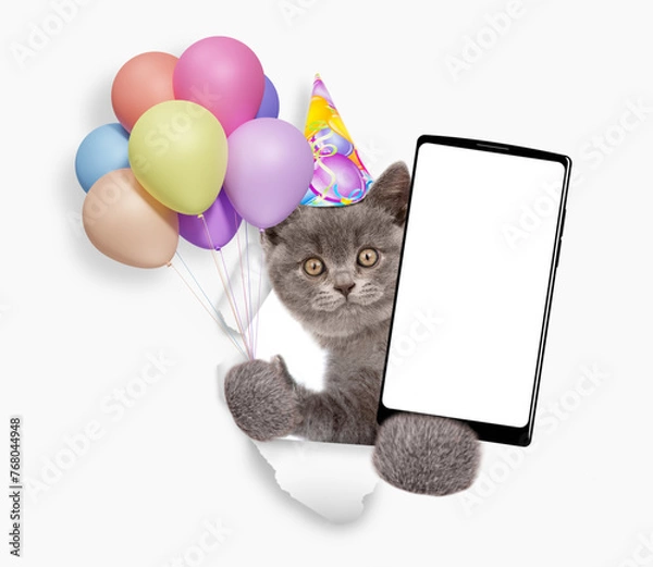 Fototapeta Cute kitten wearing party cap holds bunch of balloons, blows in party horn and shows smartphone with white blank screen in it paw through torn white paper hole. Empty free space for mock up, banner