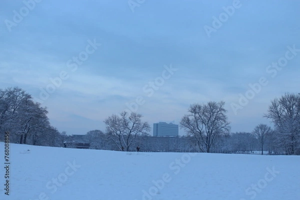 Obraz trees in the snow