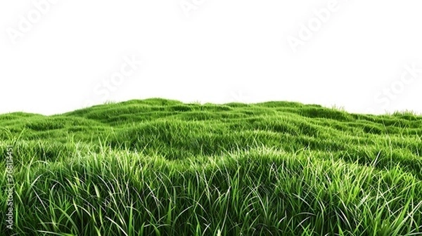 Fototapeta Green rolling hills stretch into the distance, covered in lush green grass.