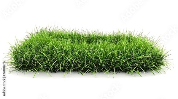 Fototapeta Green grass isolated on white background. 3D rendering.