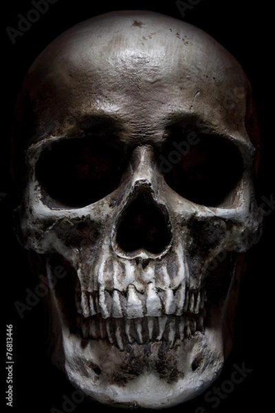 Obraz Scary human skull