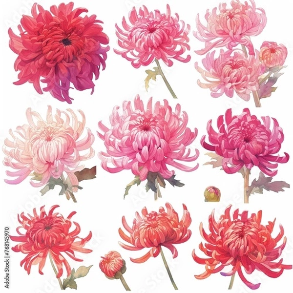 Fototapeta Sure, here is a description for the image: Seamless pink floral pattern with roses perfect for spring wallpapers and fabrics