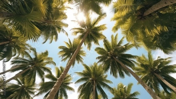 Fototapeta Fruitful coconut trees seen from below against the background of the sky, AI generated