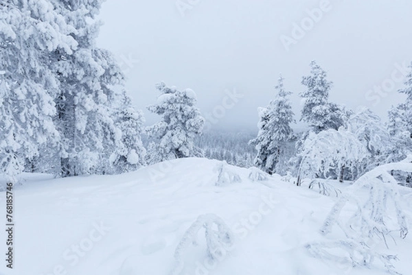 Obraz Schneebedeckter Winterwald, Blick ins Tal ,Lappland