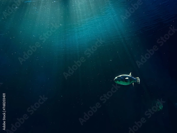 Obraz underwater world map and world