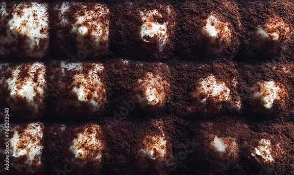 Obraz tiramisu