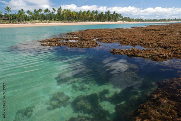 Obraz piscine taipu de fora