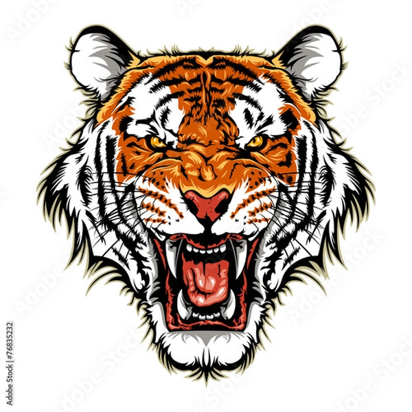 Obraz Głowa tygrysa