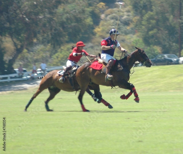 Obraz polo players