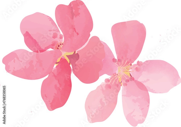 Obraz hand drawn style plum blossom