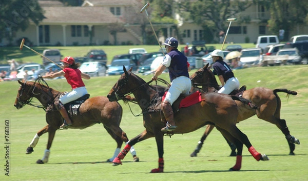 Fototapeta polo players