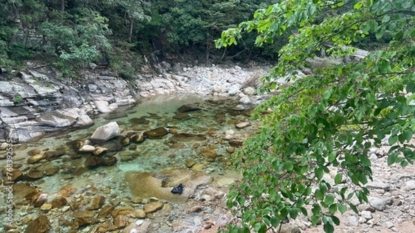 Fototapeta 숲이 울창한 잔잔한 계곡