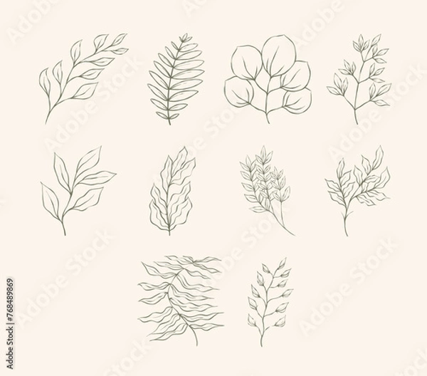 Fototapeta Leaf Illustration