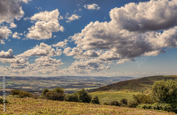 Obraz Quantock Hills Somerset