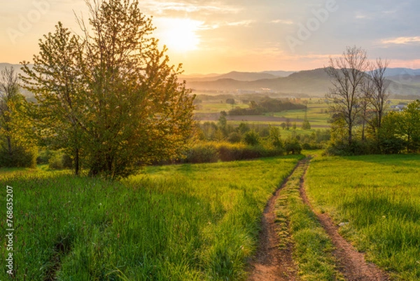 Fototapeta Sunrise in a spring field with green grass, a path with tire marks, the sun comes out from behind the tree leaving deep shadows. Mountains in the background.