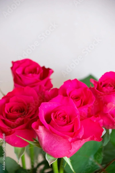 Fototapeta ピンクのばら