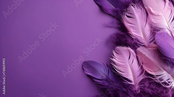 Fototapeta Purple feathers wallpapers for iphone and android
