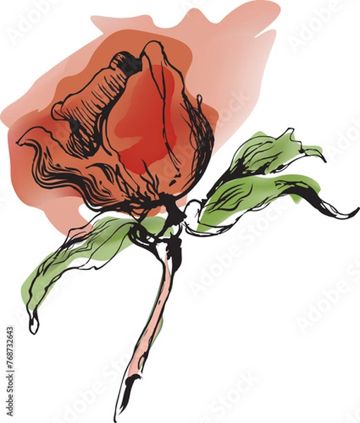 Obraz Rose, Watercolor, Minimalist