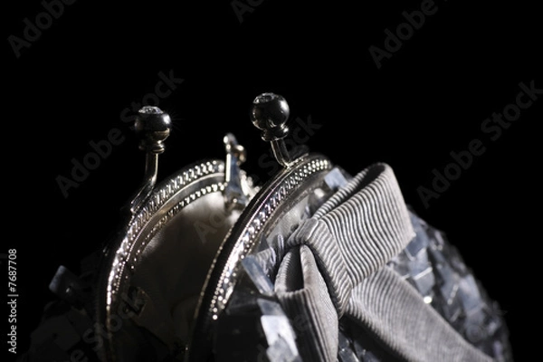 Obraz ladies handbag