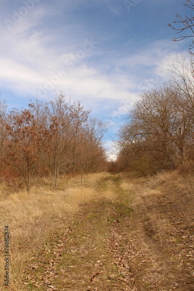 Obraz A sign on a hill