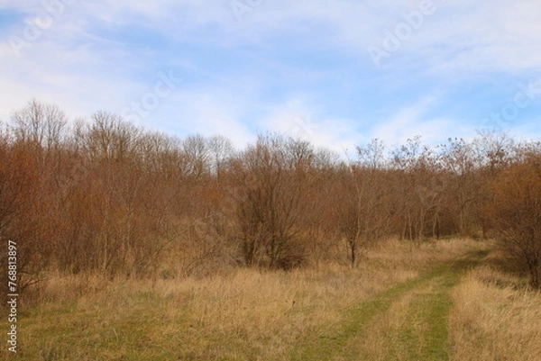 Fototapeta A grassy field with trees and a sign on it
