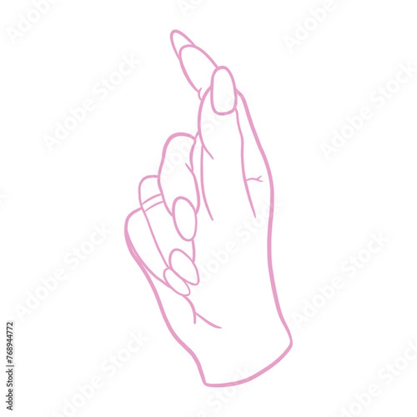 Fototapeta A Woman's Hand Drawing