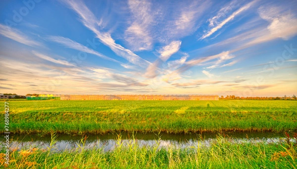 Fototapeta Clouds like rough brush strokes in the sky of rural Holland.