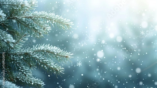 Fototapeta Festive christmas background with snowflakes and spruce branch frame, perfect for adding text