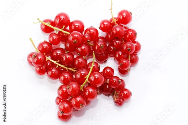 Obraz Red currant