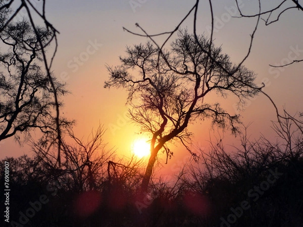 Obraz Sonnenuntergang in Afrika