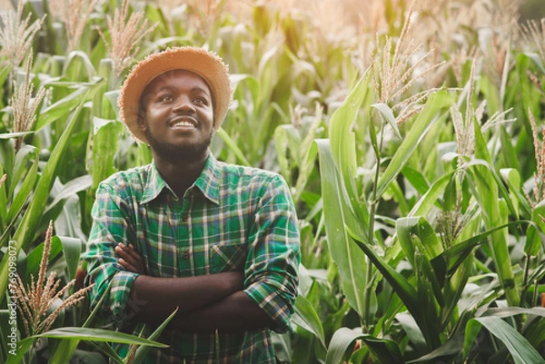 Fototapeta African farmer posing with smile in the corn field, agriculture and success concept