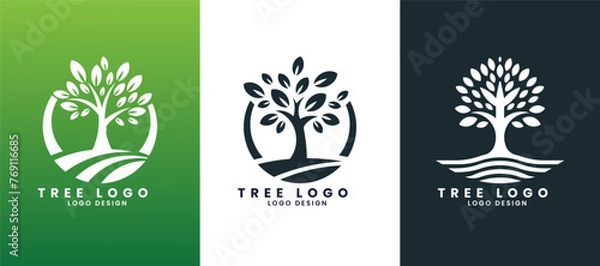 Fototapeta Natural green tree leaf organic vector logo design template
