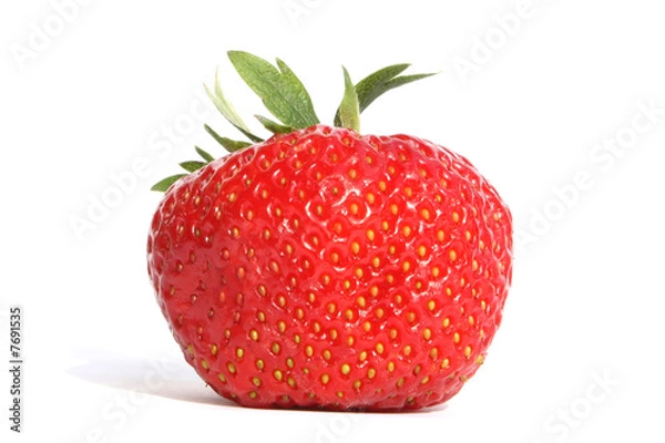 Fototapeta strawberry 