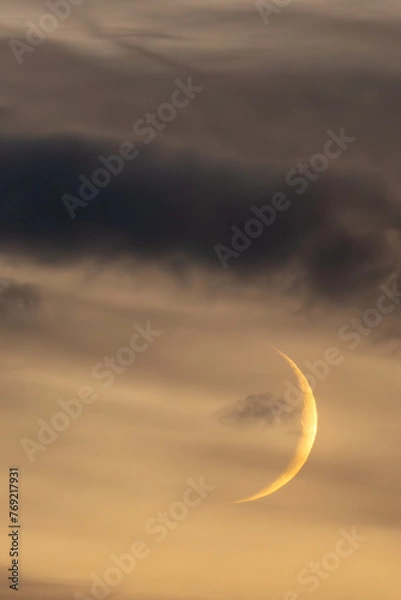 Fototapeta moon over the clouds