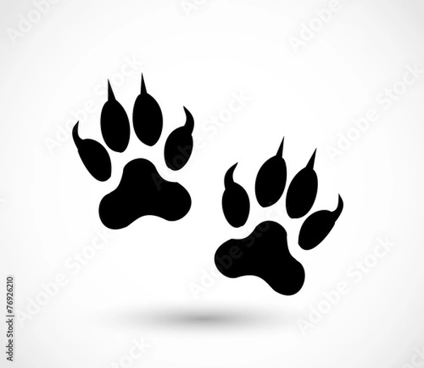 Obraz Animal footprint - cat vector