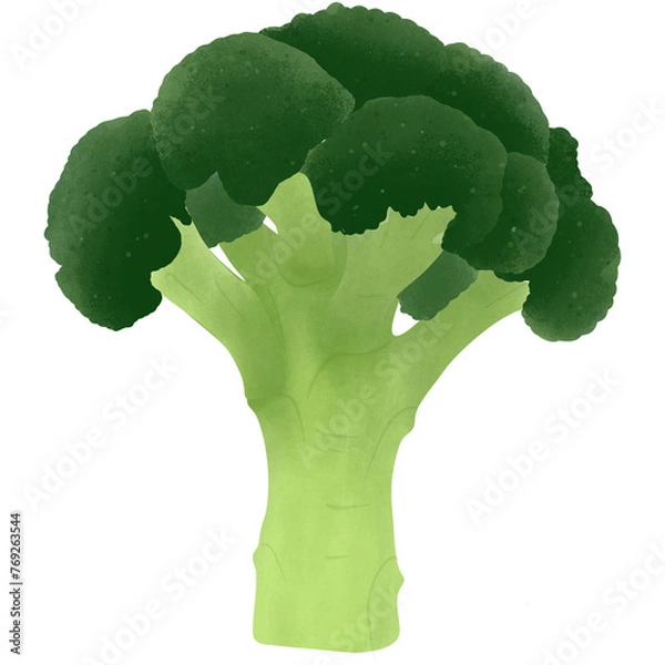 Obraz fresh broccoli vegetable nature. Illustration Cartoon Design.