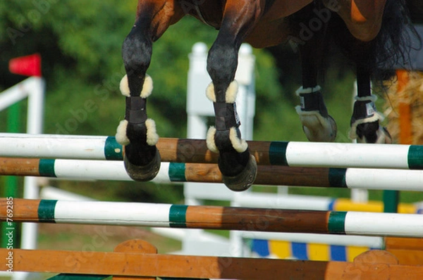 Obraz skoki przez przeszkody - szczegół