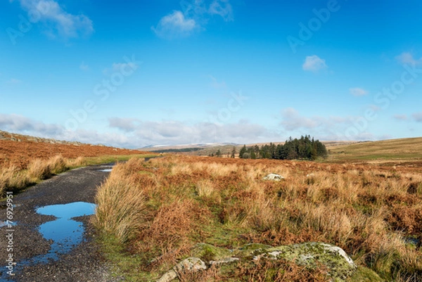 Obraz Dartmoor Track
