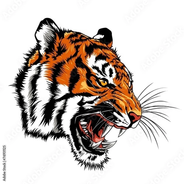 Obraz angry tiger head