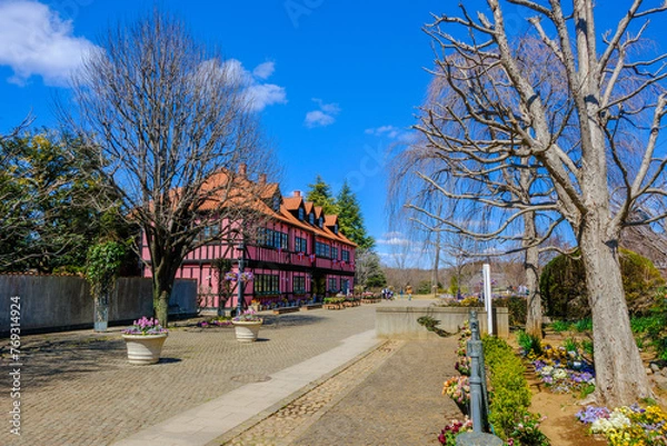 Fototapeta 春の花咲くふなばしアンデルセン公園