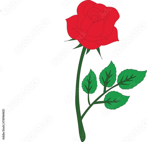 Obraz single red rose vector isolated on white