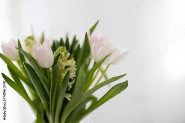 Obraz Blumen mit weiß-grauem Hintergrund, Hintergrundbild, Sliderbild