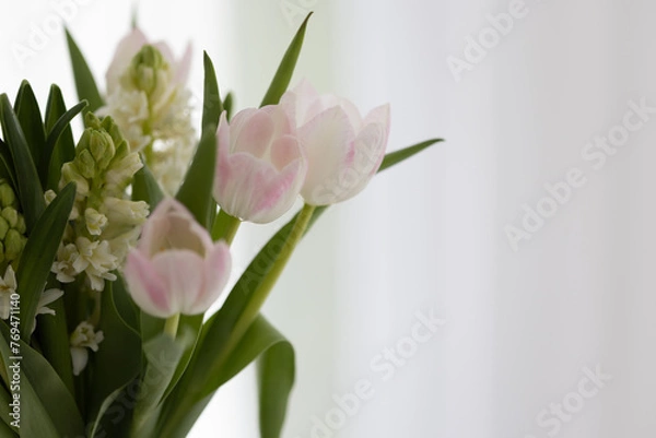 Fototapeta Blumen mit weiß-grauem Hintergrund, Hintergrundbild, Sliderbild