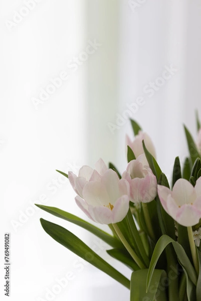 Obraz Blumen mit weiß-grauem Hintergrund