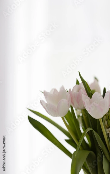 Fototapeta Blumen mit weiß-grauem Hintergrund, Hintergrundbild, Sliderbild
