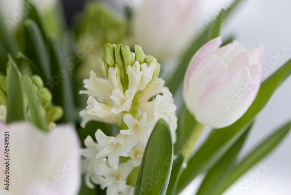 Obraz Tulpen und andere Blumen in Vase