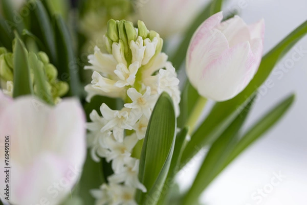 Obraz Tulpen und andere Blumen in Vase